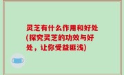 灵芝有什么作用和好处(探究灵芝的功效与好处，让你受益匪浅)