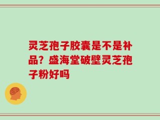 灵芝孢子胶囊是不是补品？盛海堂破壁灵芝孢子粉好吗