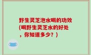 野生灵芝泡水喝的功效(喝野生灵芝水的好处，你知道多少？)