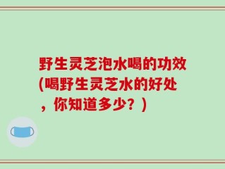 野生灵芝泡水喝的功效(喝野生灵芝水的好处，你知道多少？)