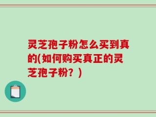 灵芝孢子粉怎么买到真的(如何购买真正的灵芝孢子粉？)
