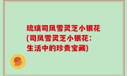 琉璃司凤雪灵芝小银花(司凤雪灵芝小银花：生活中的珍贵宝藏)