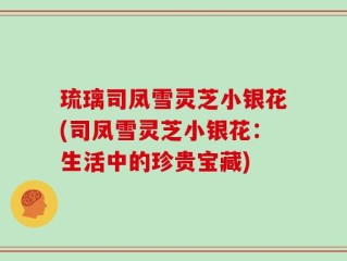琉璃司凤雪灵芝小银花(司凤雪灵芝小银花：生活中的珍贵宝藏)