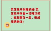 灵芝孢子粉粘的好(灵芝孢子粉有一特殊功效：能凝聚在一起，形成球状物体)