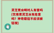 灵芝煮水喝对人有害吗(饮用煮灵芝水有危害吗？神奇蘑菇不应该被轻视)