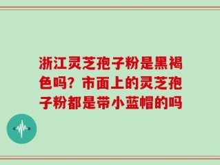 浙江灵芝孢子粉是黑褐色吗？市面上的灵芝孢子粉都是带小蓝帽的吗
