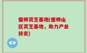 偃师灵芝基地(偃师山区灵芝基地，助力产业扶贫)