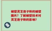 破壁灵芝孢子粉的破壁图片？了解破壁技术对灵芝孢子粉的影响？