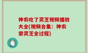 神农吃了灵芝视频播放大全(视频合集：神农尝灵芝全过程)