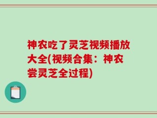 神农吃了灵芝视频播放大全(视频合集：神农尝灵芝全过程)
