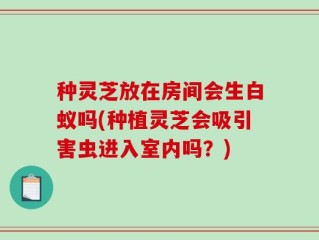 种灵芝放在房间会生白蚁吗(种植灵芝会吸引害虫进入室内吗？)