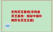 定陶灵芝基地(定陶县灵芝基地：探秘中国珍稀野生灵芝王国)