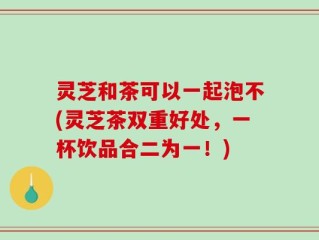 灵芝和茶可以一起泡不(灵芝茶双重好处，一杯饮品合二为一！)