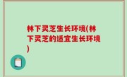 林下灵芝生长环境(林下灵芝的适宜生长环境)