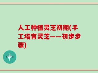 人工种植灵芝初期(手工培育灵芝——初步步骤)
