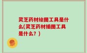 灵芝药材绘图工具是什么(灵芝药材插图工具是什么？)