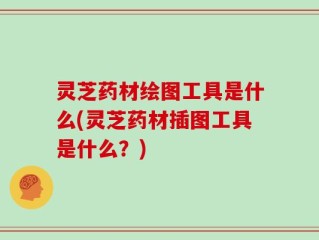 灵芝药材绘图工具是什么(灵芝药材插图工具是什么？)