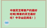中国灵芝哪里产的最好吃呢(哪里的灵芝最好吃？中华山区闻名！)