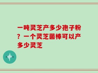 一吨灵芝产多少孢子粉？一个灵芝菌棒可以产多少灵芝