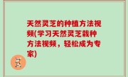 天然灵芝的种植方法视频(学习天然灵芝栽种方法视频，轻松成为专家)