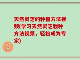 天然灵芝的种植方法视频(学习天然灵芝栽种方法视频，轻松成为专家)