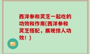 西洋参和灵芝一起吃的功效和作用(西洋参和灵芝搭配，展现惊人功效！)