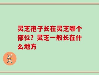 灵芝孢子长在灵芝哪个部位？灵芝一般长在什么地方