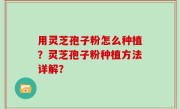 用灵芝孢子粉怎么种植？灵芝孢子粉种植方法详解？