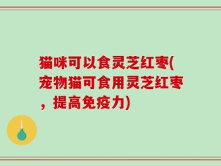 猫咪可以食灵芝红枣(宠物猫可食用灵芝红枣，提高免疫力)