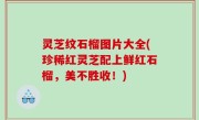 灵芝纹石榴图片大全(珍稀红灵芝配上鲜红石榴，美不胜收！)