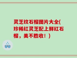 灵芝纹石榴图片大全(珍稀红灵芝配上鲜红石榴，美不胜收！)