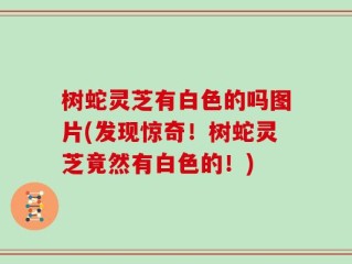 树蛇灵芝有白色的吗图片(发现惊奇！树蛇灵芝竟然有白色的！)