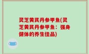 灵芝黄芪丹参甲鱼(灵芝黄芪丹参甲鱼：强身健体的养生佳品)