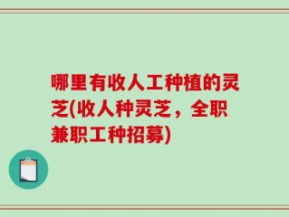 哪里有收人工种植的灵芝(收人种灵芝，全职兼职工种招募)