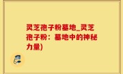 灵芝孢子粉墓地_灵芝孢子粉：墓地中的神秘力量)