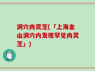 洞穴肉灵芝(「上海金山洞穴内发现罕见肉灵芝」)