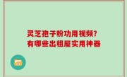 灵芝孢子粉功用视频？有哪些出租屋实用神器