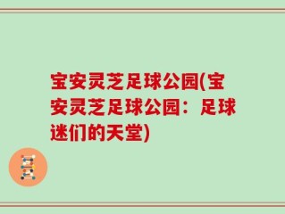 宝安灵芝足球公园(宝安灵芝足球公园：足球迷们的天堂)