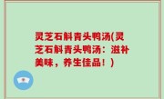 灵芝石斛青头鸭汤(灵芝石斛青头鸭汤：滋补美味，养生佳品！)