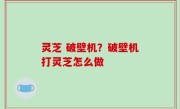 灵芝 破壁机？破壁机打灵芝怎么做