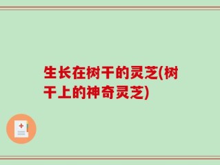 生长在树干的灵芝(树干上的神奇灵芝)
