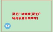 灵芝广场烧烤(灵芝广场开启夏日烧烤季)