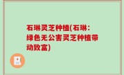 石琳灵芝种植(石琳：绿色无公害灵芝种植带动致富)