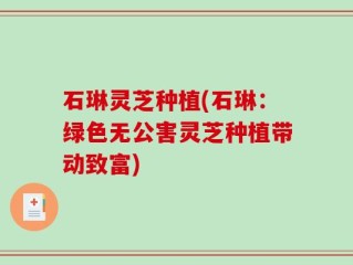 石琳灵芝种植(石琳：绿色无公害灵芝种植带动致富)
