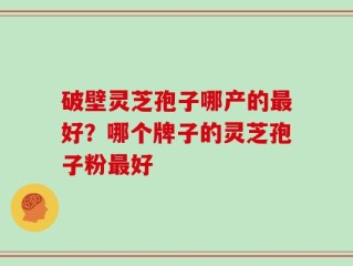 破壁灵芝孢子哪产的最好？哪个牌子的灵芝孢子粉最好