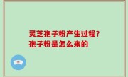 灵芝孢子粉产生过程？孢子粉是怎么来的