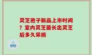 灵芝孢子新品上市时间？室内灵芝菌长出灵芝后多久采摘