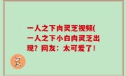 一人之下肉灵芝视频(一人之下小白肉灵芝出现？网友：太可爱了！