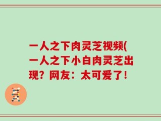 一人之下肉灵芝视频(一人之下小白肉灵芝出现？网友：太可爱了！