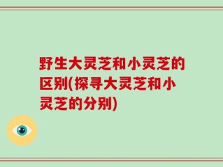 野生大灵芝和小灵芝的区别(探寻大灵芝和小灵芝的分别)